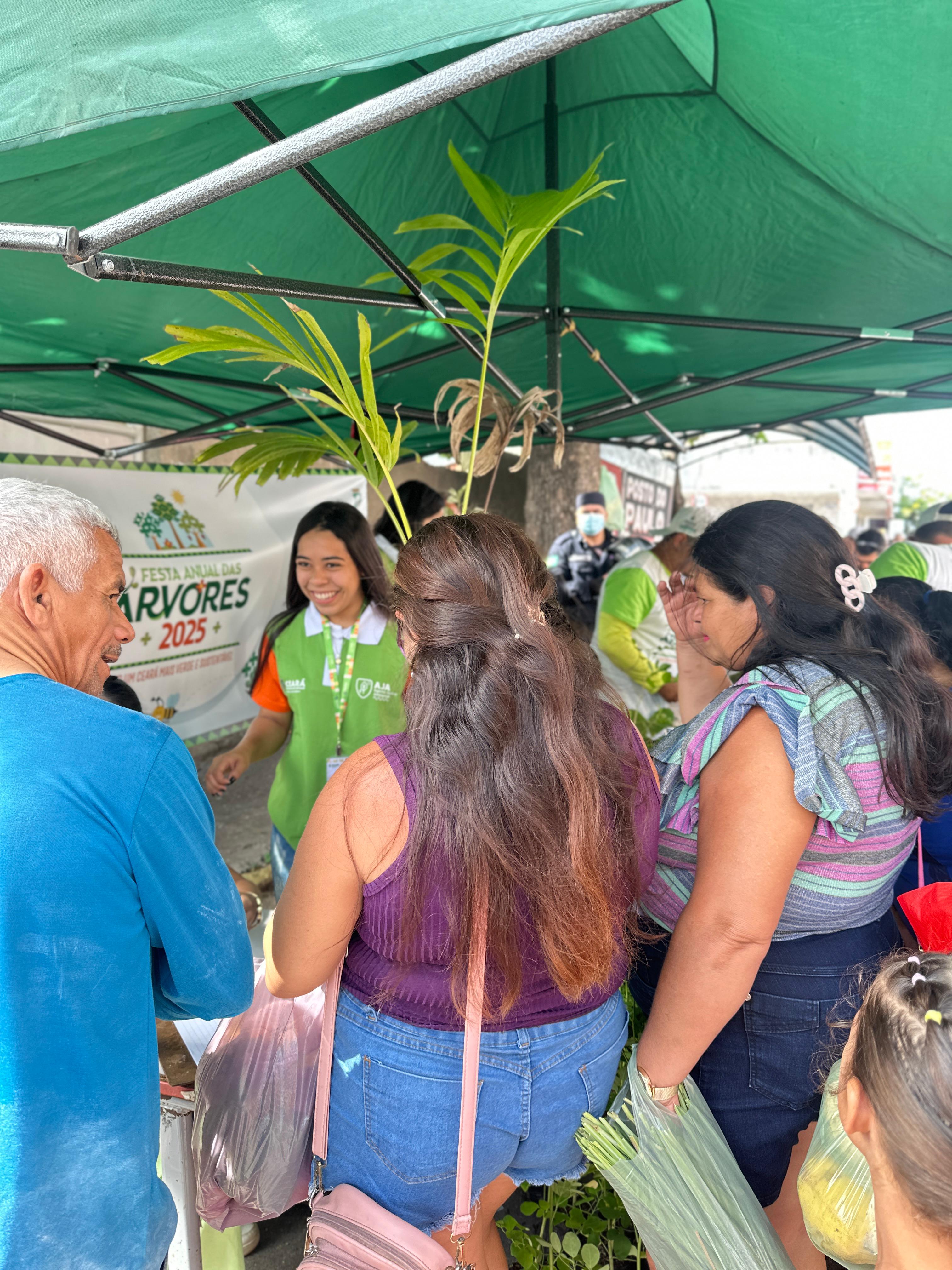 Foto 7 — Distribuição de plantas na feira