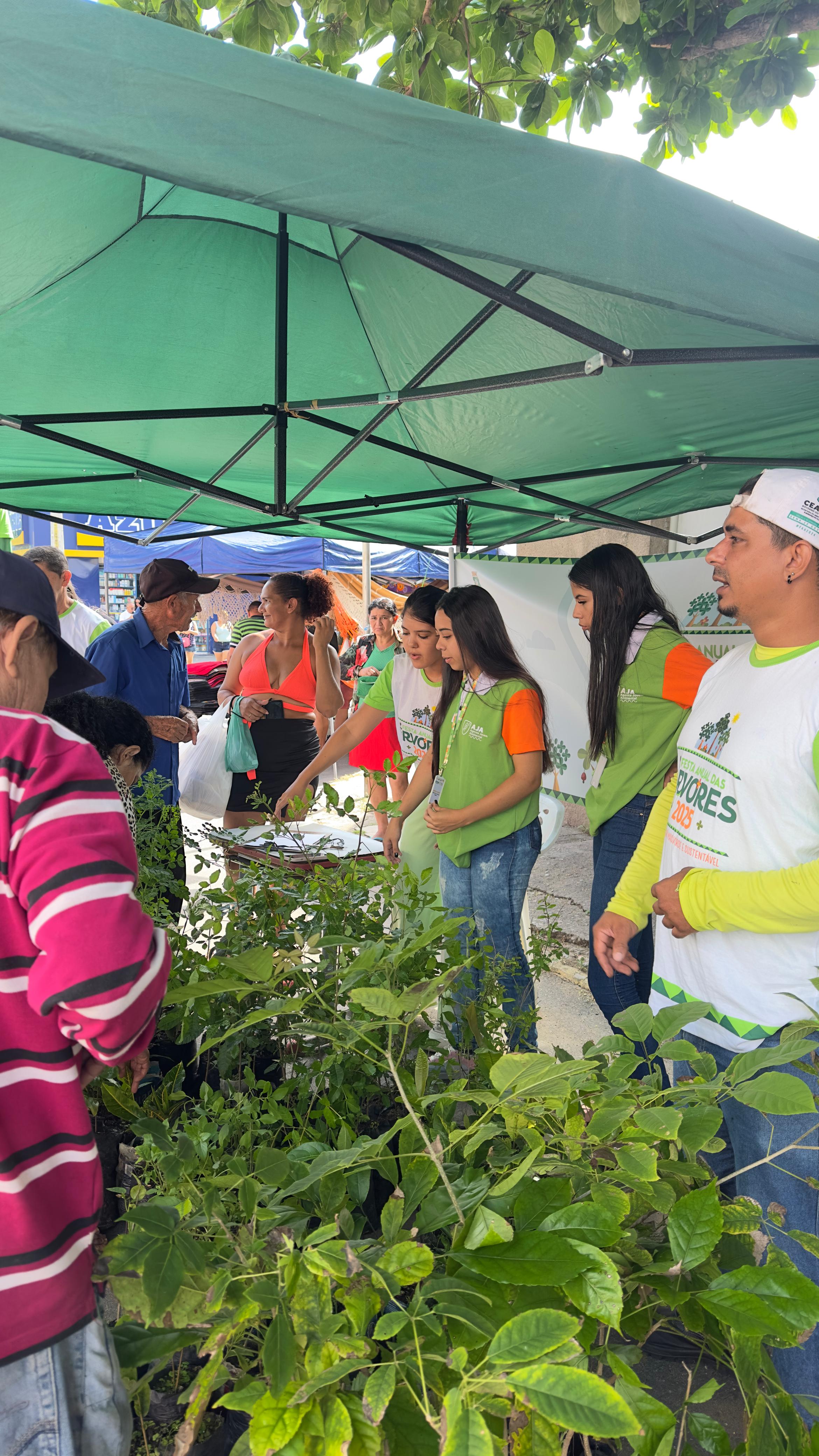 Foto 5 — Distribuição de plantas na feira