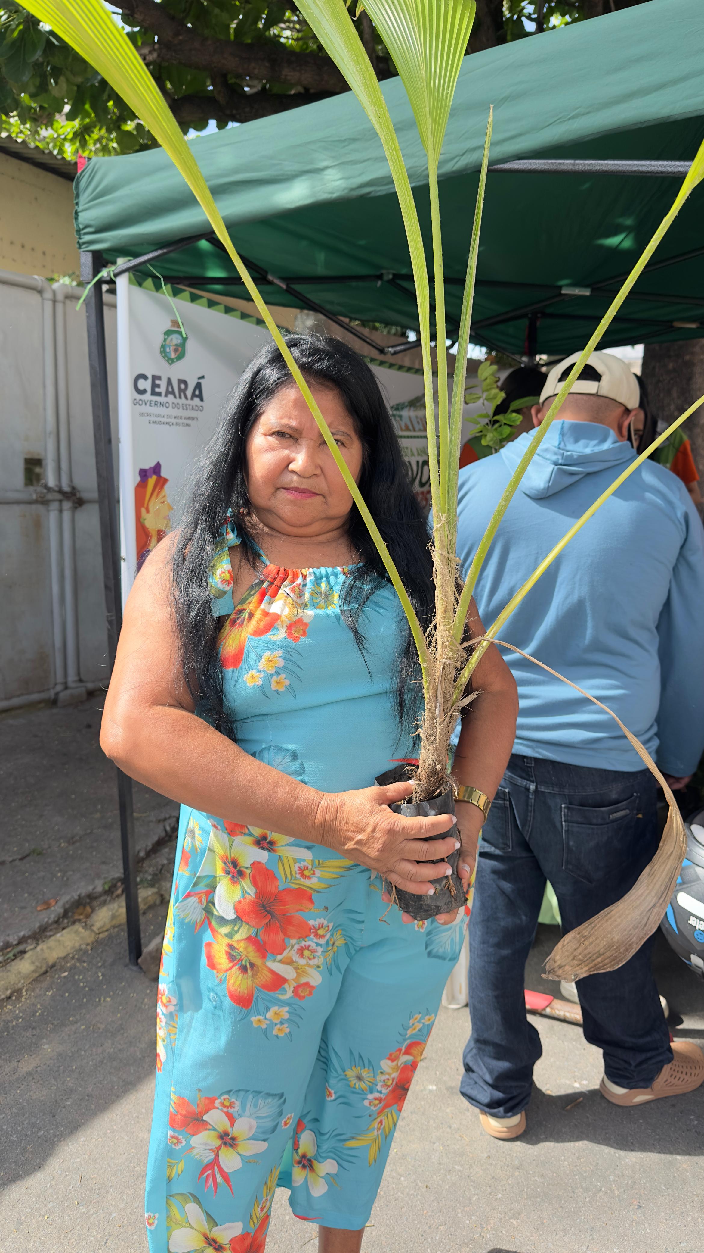 Foto 2 — Distribuição de plantas na feira