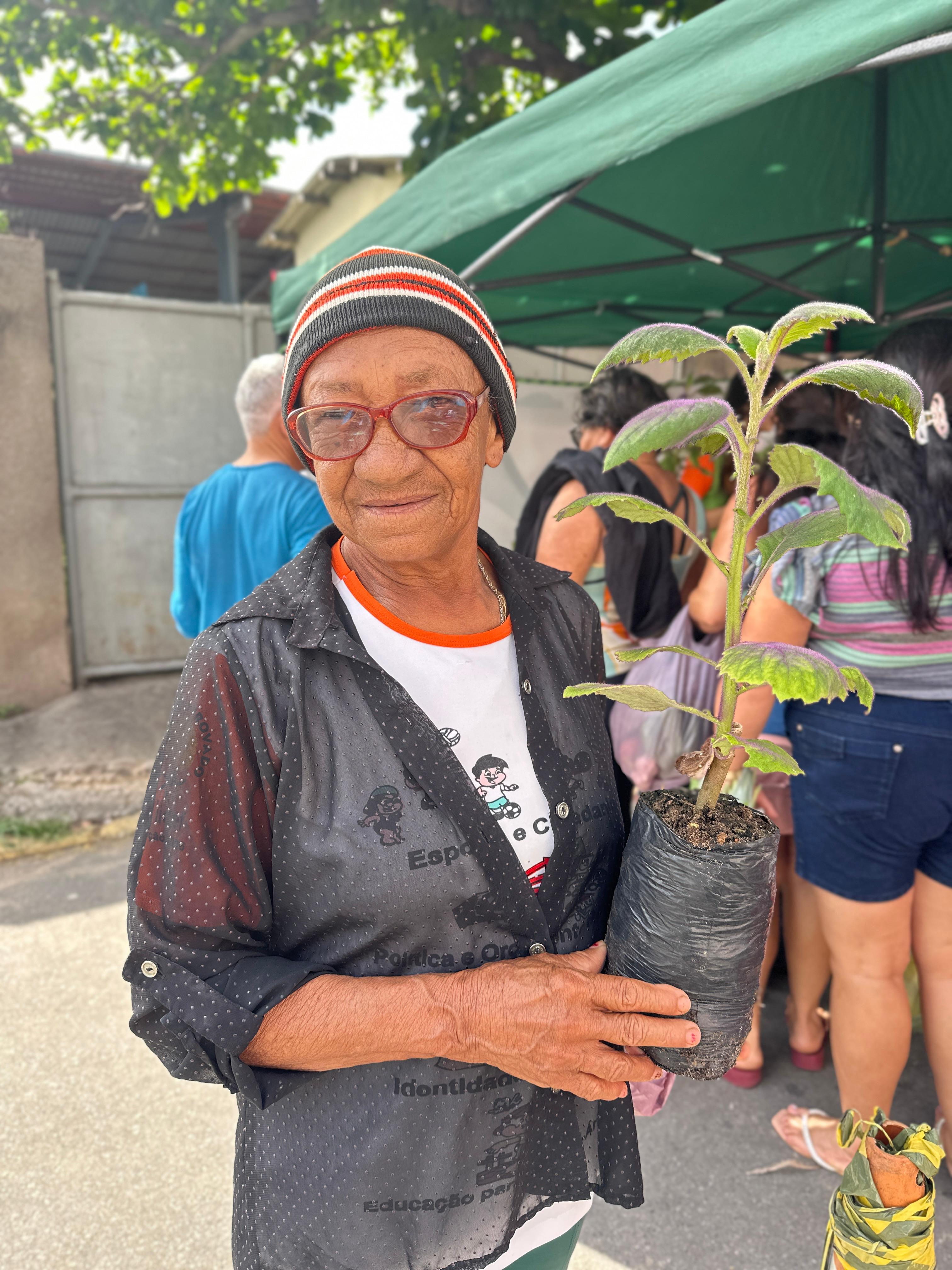 Foto 3 — Distribuição de plantas na feira